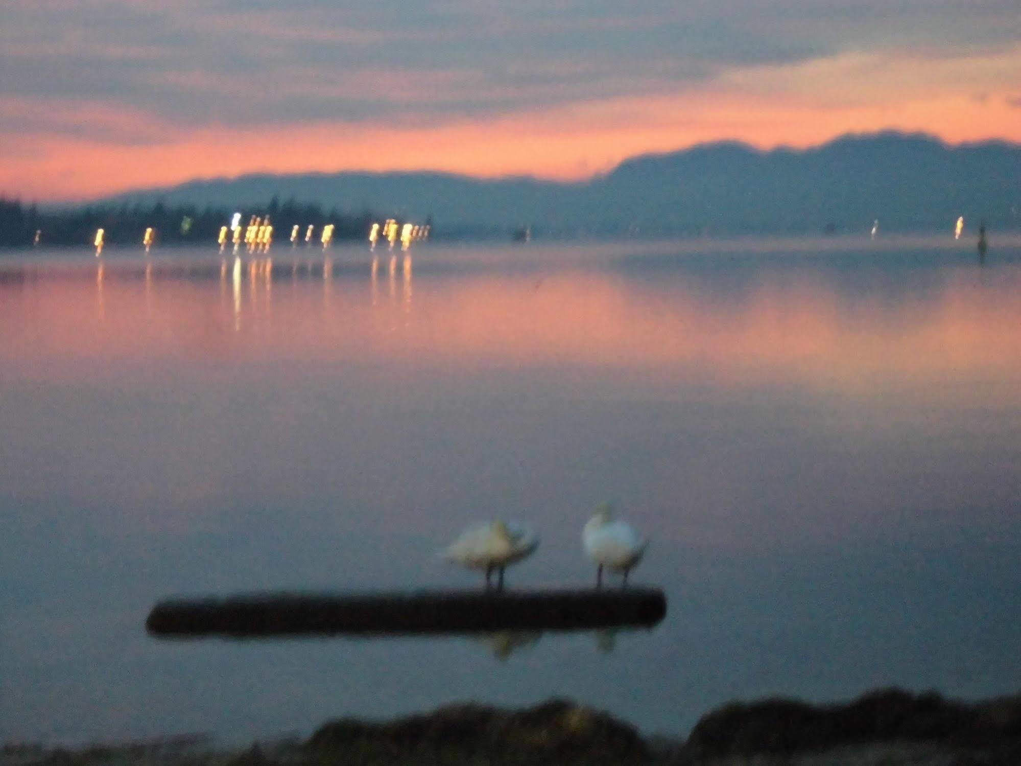 Hotel Benaco Mavras Peschiera del Garda Dış mekan fotoğraf